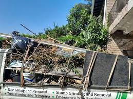 Professional Junk Removal Services in Greenup, KY